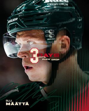 Image post by @mnwild on Twitter/X