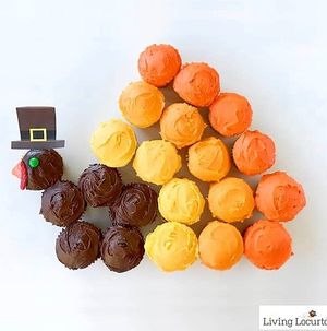 Image post by @livinglocurto on Instagram