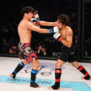 Image post by @upnextfighting on Instagram