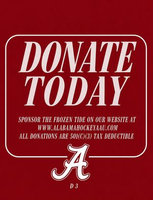 Image post by @alabamahockeyd3 on Instagram