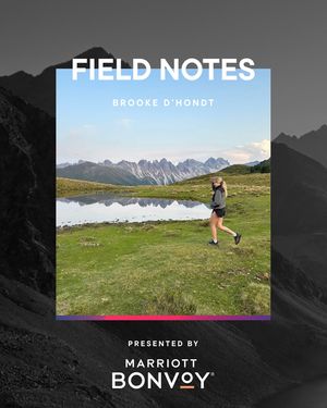 Image post by @thesnowleague on Instagram