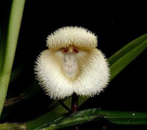 Image post by @ahs_gardening on Instagram