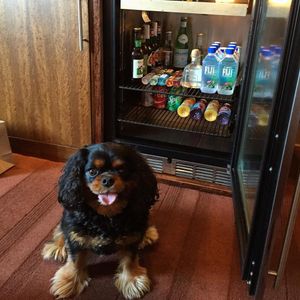Image post by @theironhorsehotel on Instagram