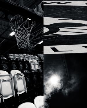 Image post by @gary__forster on Instagram