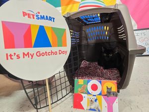 Video post by @petsmart on TikTok