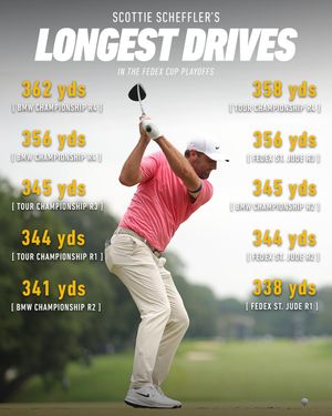Image post by @taylormadeausnz on Instagram
