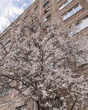 Image post by @tanya_zavadich on Instagram