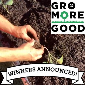 Image post by @kidsgardening on Instagram