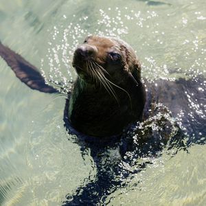 Image post by @seaworldaus on Instagram