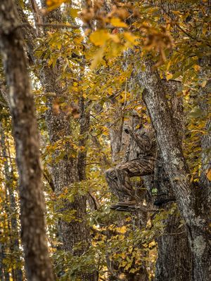 Image post by @realtreeoutdoors on Instagram