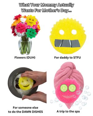Image post by @scrubdaddy on Instagram