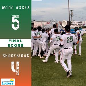 Image post by @GoWoodDucks on Twitter