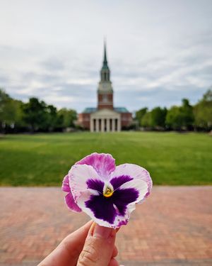 Image post by @wfuniversity on Instagram