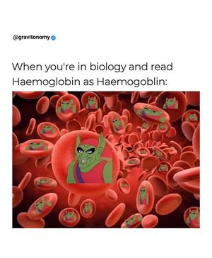 Image post by @gravitonomy on Instagram