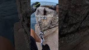 Video post by @dji on YouTube