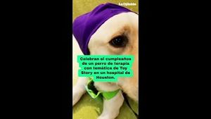 Video post by @laopinionla on YouTube