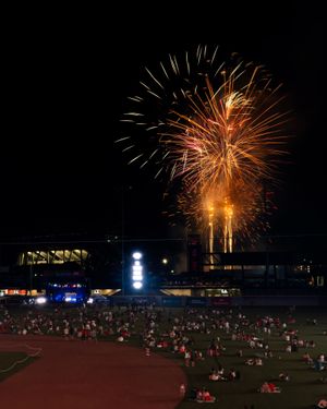 Image post by @gosquirrels on Instagram