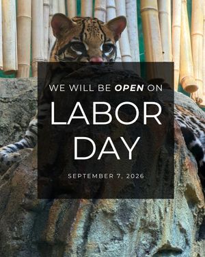 Image post by @bhamzoo on Instagram