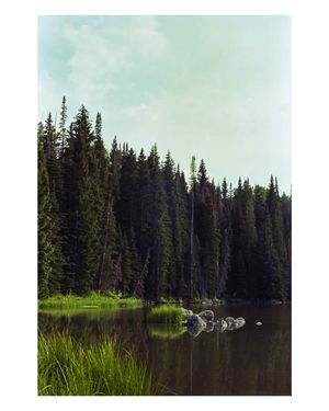 Image post by @W.39thPhotos on Facebook