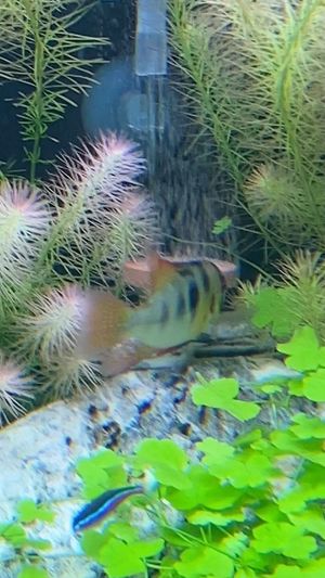 Video post by @aqualupi on Instagram