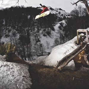 Image post by @scheelssports on Instagram