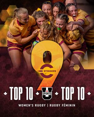 Image post by @the_stingers on Instagram