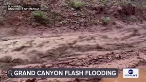 Video post by @abcnewslive on TikTok