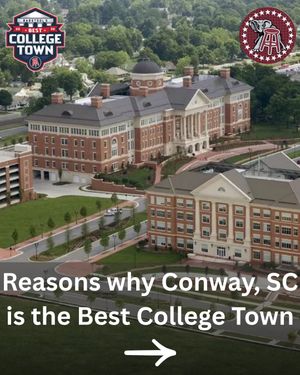 Image post by @barstoolalabama on Instagram