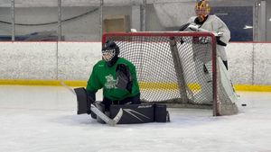 Image post by @bosak_goaltending on Instagram