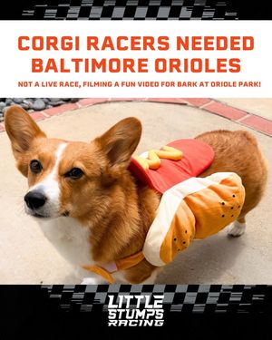 Image post by @littlestumpsracing1 on Facebook