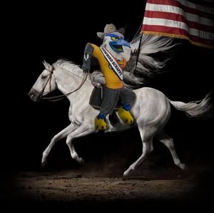 Image post by @utchattanooga on Instagram