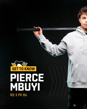 Image post by @penguins on Instagram