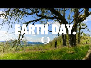 Video post by @GoDucks on YouTube