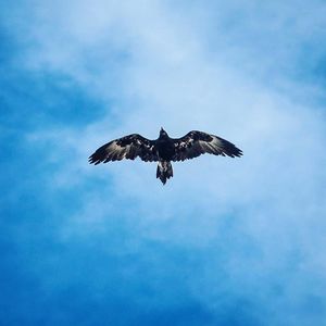 Image post by @zedco.studio on Instagram