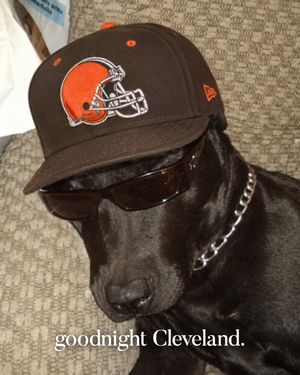 Image post by @clevelandbrowns on Instagram