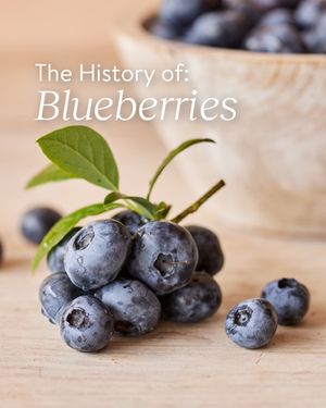 Image post by @burpeegardening on Instagram