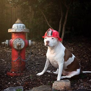 Image post by @kiddefiresafety on Instagram