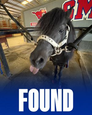 Image post by @smu.mustangs on Instagram