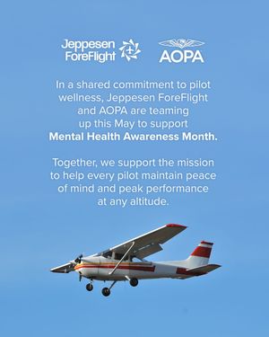 Image post by @foreflight on Instagram