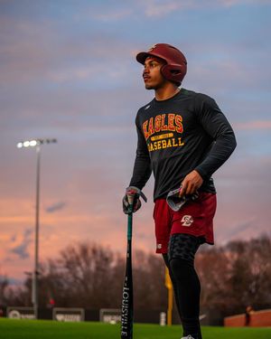Image post by @bcbirdball on Instagram