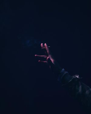 Image post by @alexkpalmer on Instagram