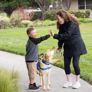 Image post by @canineorg on Instagram