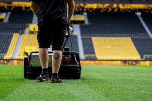 Image post by @BVB on Twitter