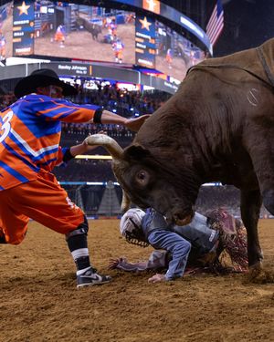 Image post by @rodeohouston on Instagram