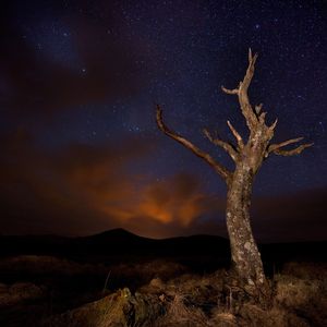 Image post by @discovery on Instagram