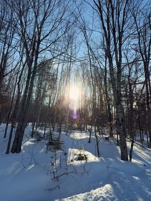 Image post by @kasia_fraser on Instagram