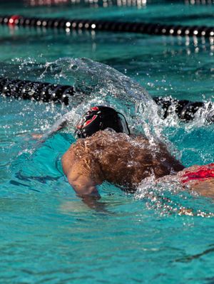 Image post by @chapmanuswimdive on Instagram