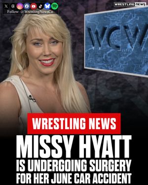 Image post by @wrestlingnewsco on Instagram