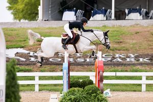 Image post by @kyhorseshows on Instagram