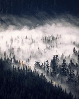 Image post by @shauns_shots on Instagram